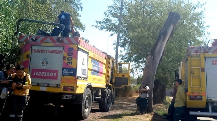 Primera jornada de trabajo de los bomberos y brigadistas que viajaron a Corrientes