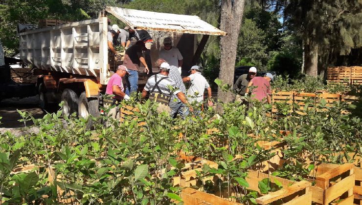 San Luis tiene todo listo para recibir la primera tanda de árboles que llegarán desde el Chaco