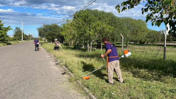 Realizaron tareas de limpieza y desmalezado en el Parque Industrial Sur