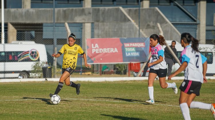 Copa San Luis: Juventud, Estancia Grande, Colegiales y Las Lagunas van por la gran final