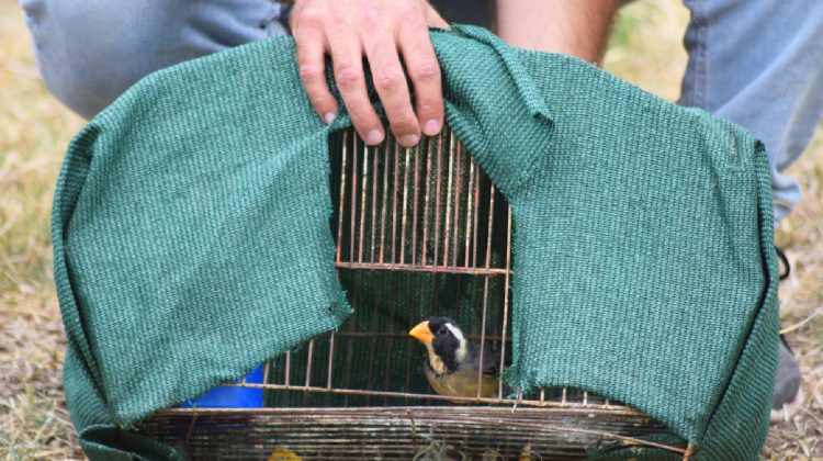 La Reserva Floro Faunística de La Florida será escenario de liberación de animales silvestres