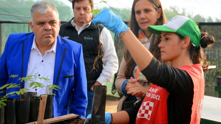 Funcionarios de Chaco visitaron San Luis para interiorizarse sobre el proyecto forestal de la provincia