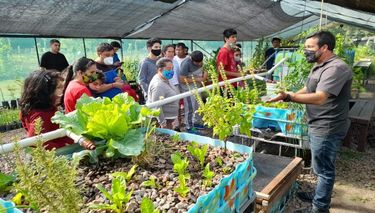 Más de 300 alumnos de distintas escuelas ya visitaron la Granja Integral Agroecológica en Cruz de Piedra