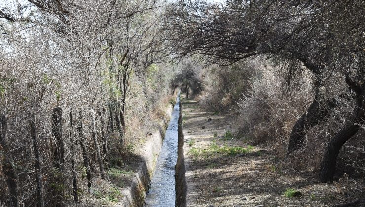 Más de 250 productores completaron la Intención de Siembra otoño-invierno 2022