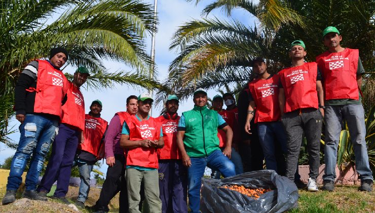 Beneficiarios de Inclusión Social, un eslabón fundamental en la política forestal de San Luis