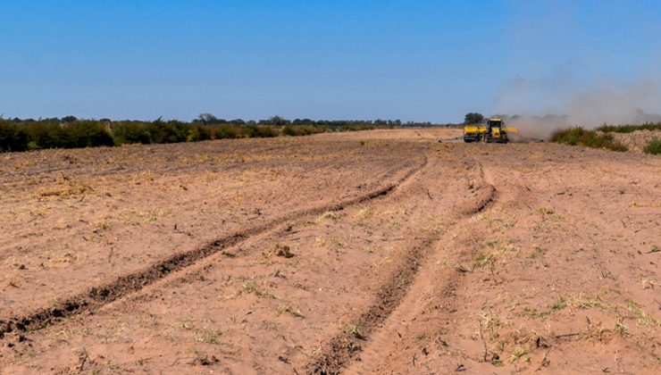 Finalizó la siembra de 500 hectáreas de alfalfa sobre la Cuenca baja El Morro