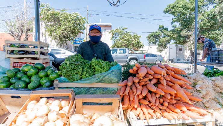 Sol Puntano ofrecerá su producción fresca y de calidad a los vecinos de la ciudad