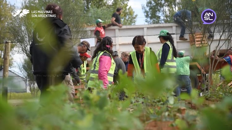 Arribaron a la provincia 14.000 Fresnos procedentes del Chaco