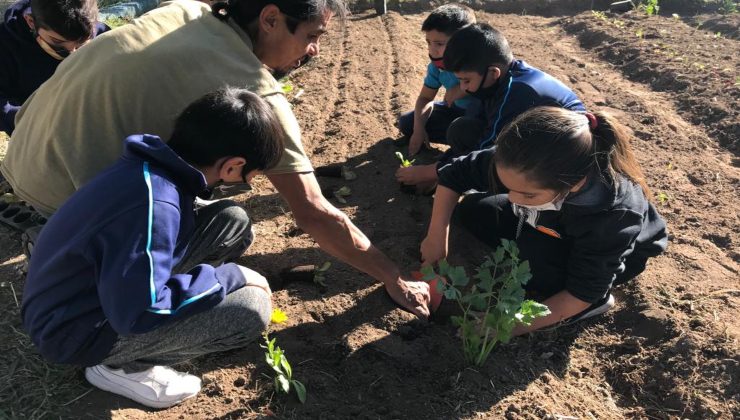 Dos nuevas escuelas preparan sus huertas con variedades otoño-invierno