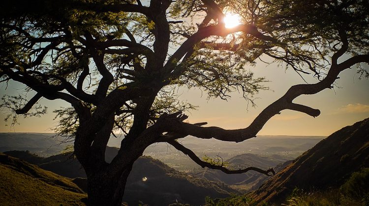 La semana comienza con temperaturas agradables