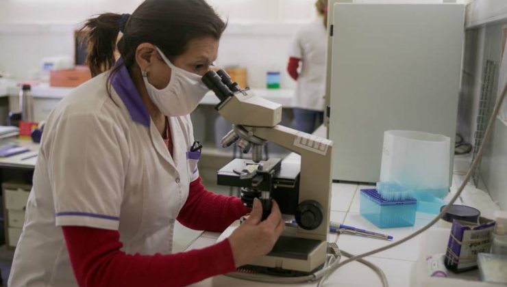 El Laboratorio del Campo realiza análisis para diagnóstico de Anemia Infecciosa Equina