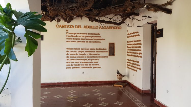 La Casa del Poeta será el escenario de una variada agenda de actividades culturales