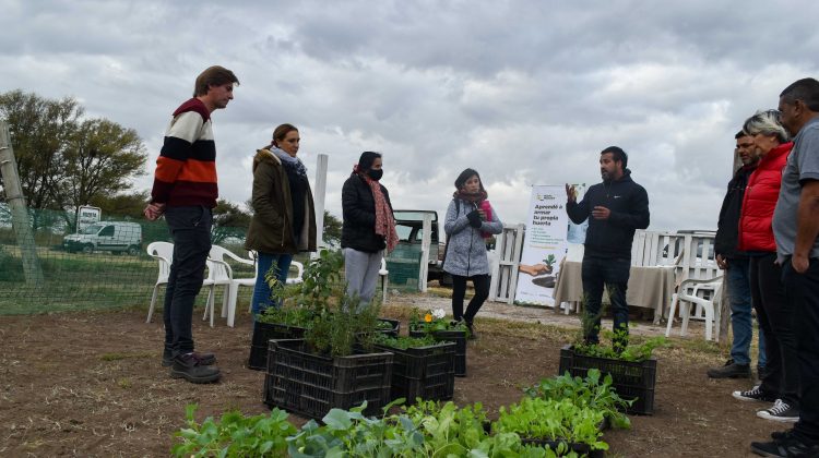 El Ministerio de Producción asistió a la Municipalidad de Villa Mercedes en el armado de una huerta