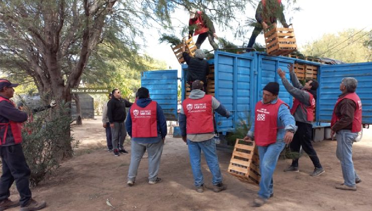 Fortalecimiento Ambiental con Chaco: San Luis ya recibió más de 100 mil plantines