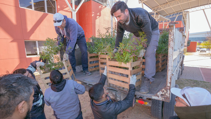 El plan “Más árboles, Más vida” llegó a la Universidad de La Punta