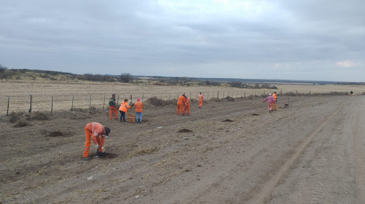 Comenzó a funcionar la red de alianzas estratégicas para la forestación de 1 millón de árboles en la provincia