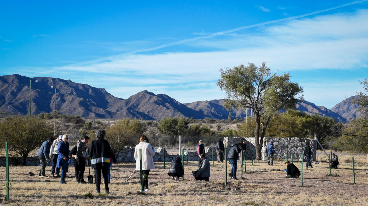 Comenzó la plantación de especies arbóreas en la ULP como parte del “Plan Más Árboles, Más Vida”