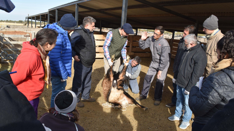 San Luis recibió a veterinarios del país y la región que se formaron en biotecnología reproductiva