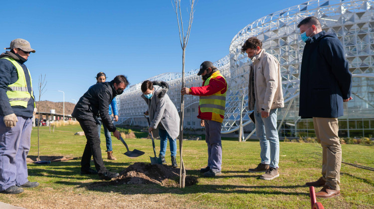 El Plan Forestal “Más Árboles, Más Vida” llegó al Hospital Central