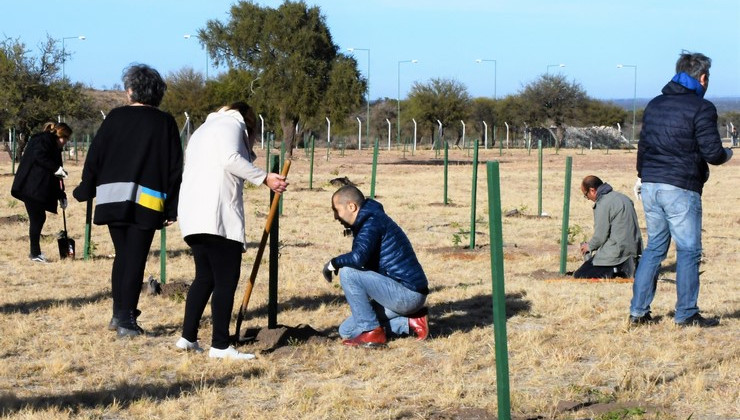 La ULP y el Ministerio de Ciencia y Tecnología invitan a su comunidad a forestar