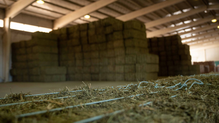 A tres años del Plan Plurianual de Alfalfa, sus responsables evaluaron su desarrollo y proyección