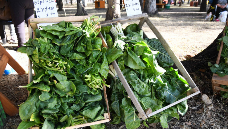 Las ventas directas de Sol Puntano llegan con variedad de productos para los vecinos de San Luis