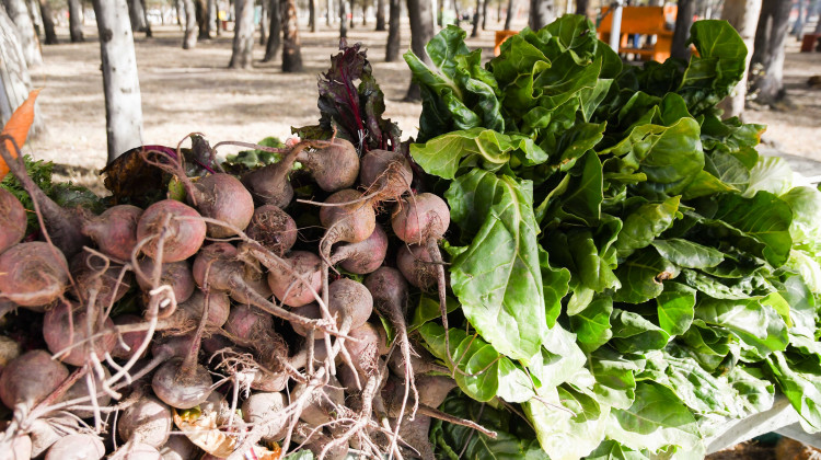 Encontrá los productos de Sol Puntano en las ventas directas de la semana