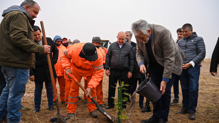 El Gobierno de San Luis planta 1500 árboles en el tramo Saladillo-Juan Llerena