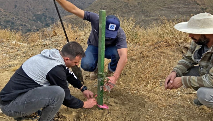 El Plan “Más árboles, más vida” suma aliados para la forestación provincial