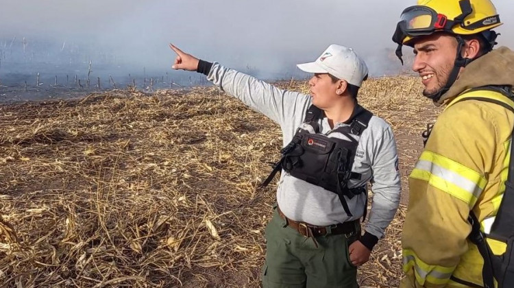 Combaten un incendio en cercanías de El Trapiche