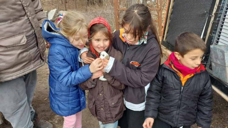 La Granja Integral Agroecológica en Cruz de Piedra, una interesante experiencia para niños y familias en estas vacaciones