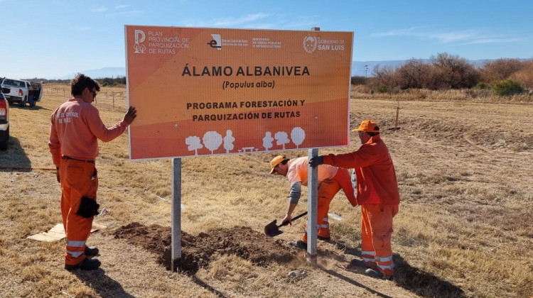 Realizarán más megaoperativos forestales en diferentes rutas de la provincia