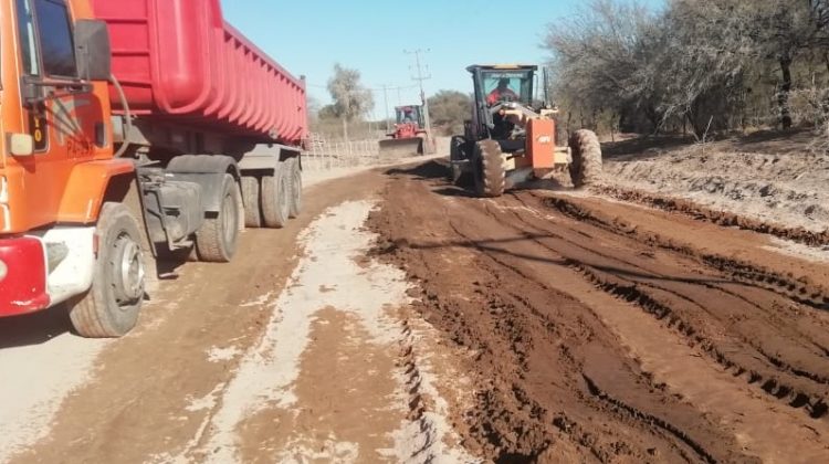 Vialidad Provincial realizó mantenimiento y mejora de caminos, forestación y colocación de cartelería