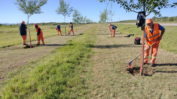 La Asociación Forestal Argentina capacitará y certificará a personal del Ministerio de Obras Públicas e Infraestructura