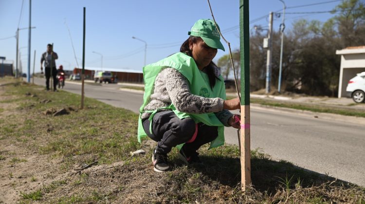 Operativo de forestación y entrega de ejemplares a vecinos e instituciones de Villa Mercedes