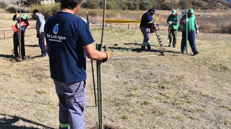 San Luis Agua comenzó con la forestación en los diques