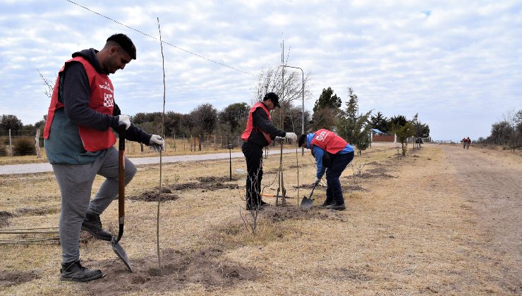 El Gobierno provincial comenzó con la forestación en la cuenca hídrica de San Martín