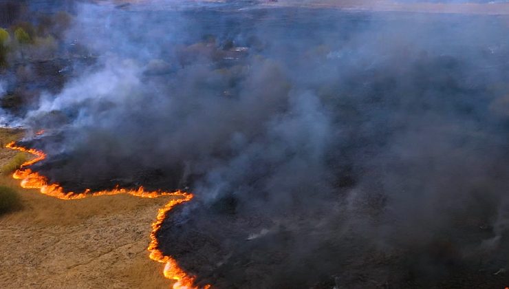 En lo que va del año los incendios forestales afectaron a más de 40 mil hectáreas