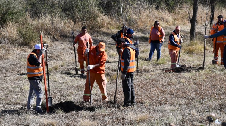 El Programa de Forestación y Parquización de Rutas plantó este martes más de 2900 árboles