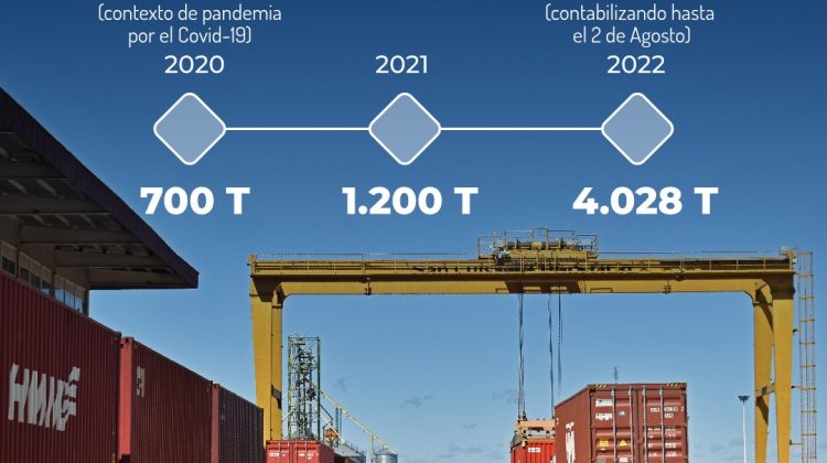 El Plan Plurianual de Alfalfa posiciona a San Luis en la exportación