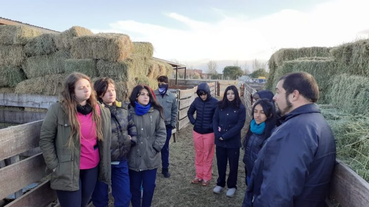 Alumnos de Veterinaria de la UCCuyo sumaron nuevos conocimientos en su visita al módulo genético de Sol Puntano