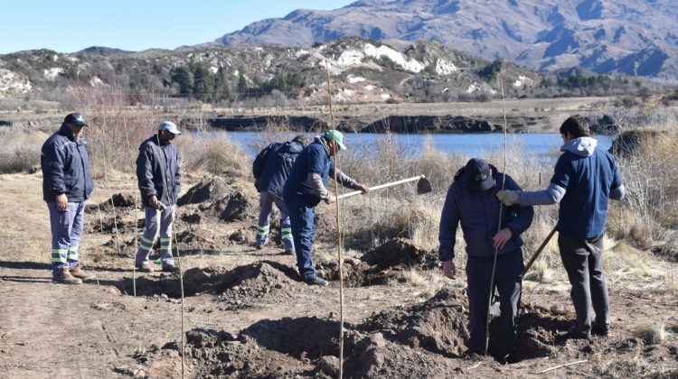 San Luis Agua plantó más de 1.000 árboles en el dique La Estrechura