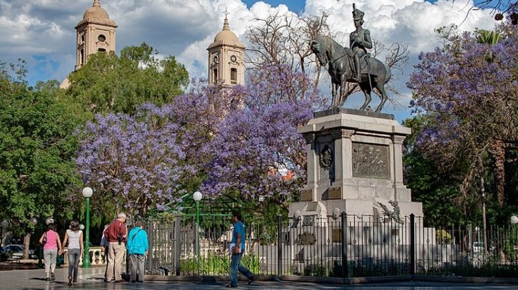 Este miércoles habrá una colecta voluntaria de sangre en la Plaza Pringles