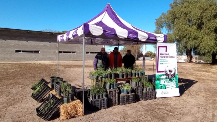 Con la entrega de 600 plantines, el Ministerio de Producción se sumó a la propuesta educativa de la UCCuyo