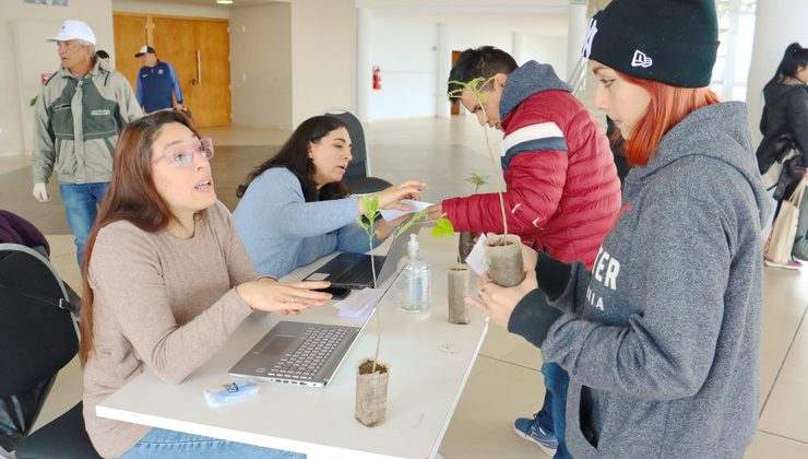 Plan forestal: la ULP entregó plantines a su comunidad educativa y laboral 