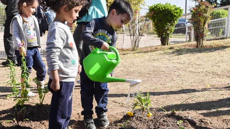 Los peques de la Escuela Puertas del Sol se animaron a armar su huerta