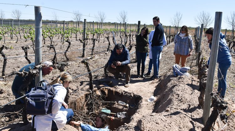 La Mesa Vitivinícola tuvo su primera salida a campo en los viñedos de Sol Puntano