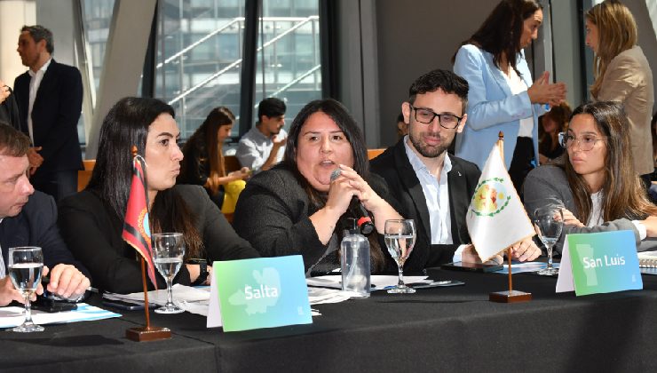 San Luis participó en la primera reunión del COFEMA Jóven