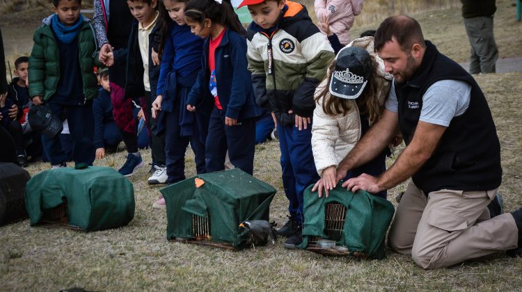 La Reserva Florofaunística fue escenario de la liberación de 25 aves recuperadas