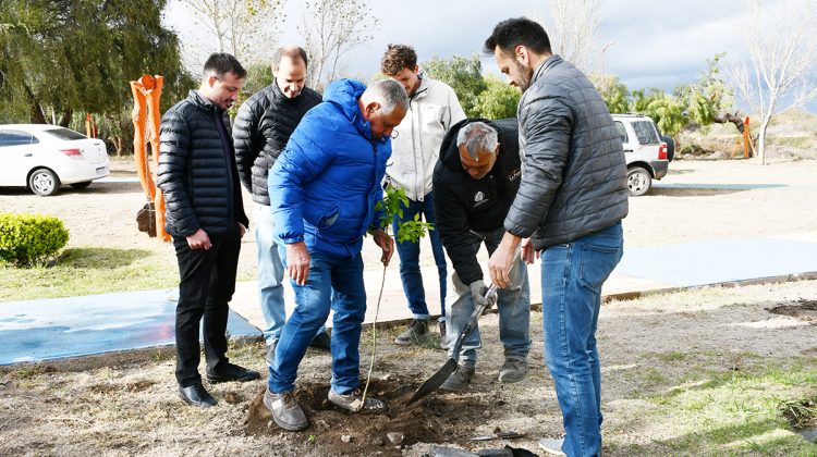 El Plan de Forestación “Más Arboles Más Vida” llegó al balneario municipal de La Punta